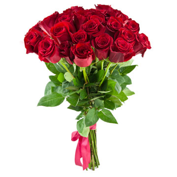 25 красных роз 70 см (Эквадор)