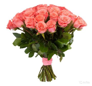 25 розовых роз 60 см (Эквадор)